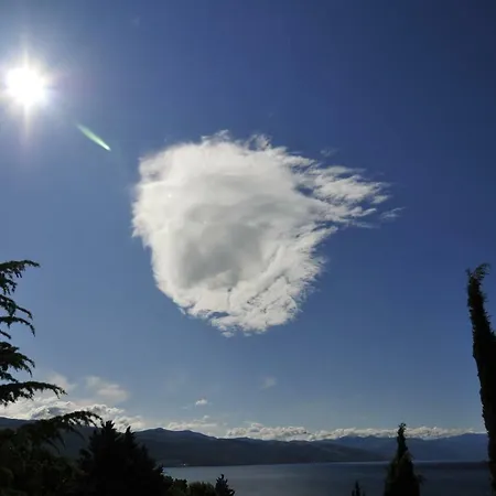 Andrea Daire